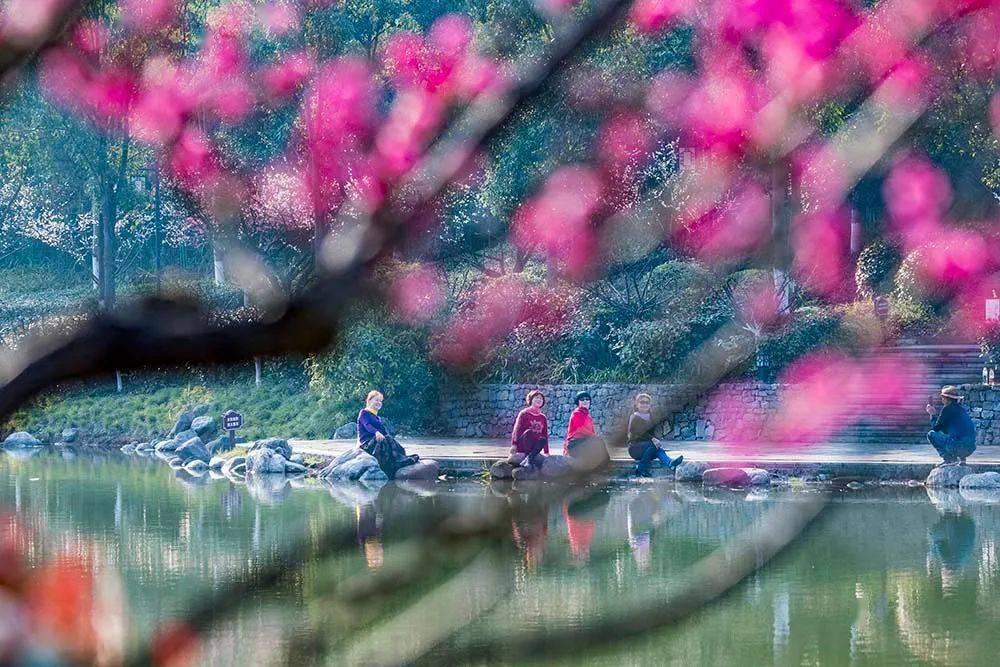 外媒：位于伊拉克库区的美军基地遭无人机攻击