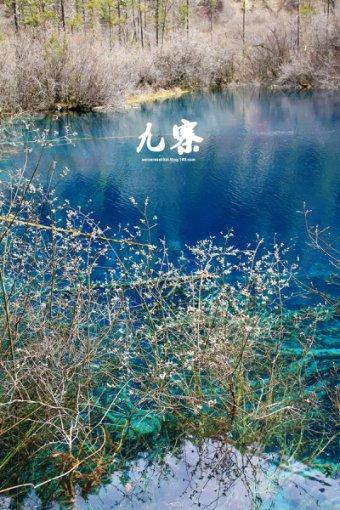 篮球大师