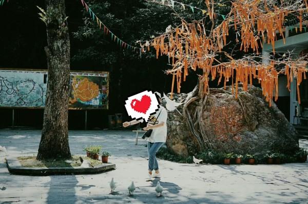 卡餐是什么意思游戏画面