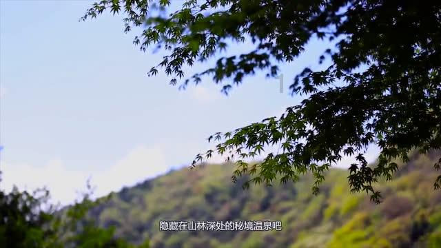 男友的妈妈控制欲太强，该怎么办？游戏画面