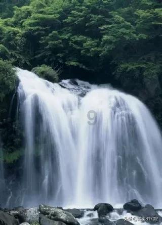 功夫熊猫3手游