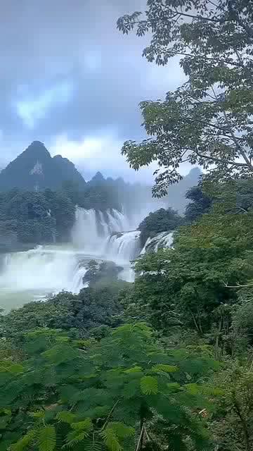 动物帮帮忙保卫家园