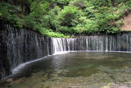 非洲女孩因身材奇特，被关铁笼供人观赏，26岁离世仍被展览近200年