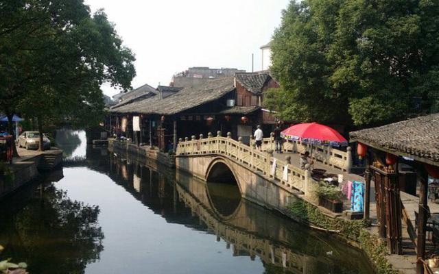 浙江两会日报丨走好高质量发展之路,委员这样说