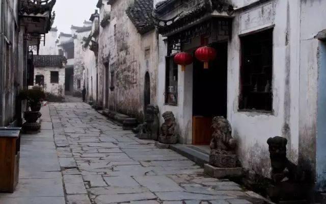 多大鹦鹉可以喂他吃黄粉虫吗？游戏画面