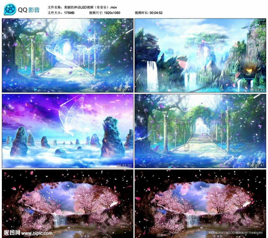 兰博基尼填颜色